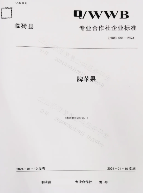 企业标准案例展示