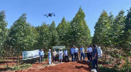 森林经营认证国家标准在海南进行实地测试